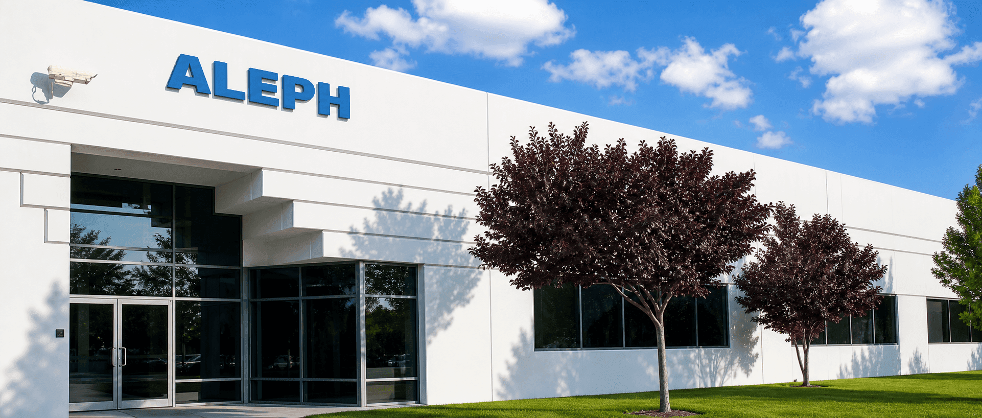 Aleph America Corporation